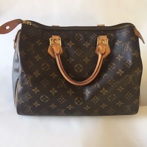 Louis Vuitton Monogram Speedy Bag